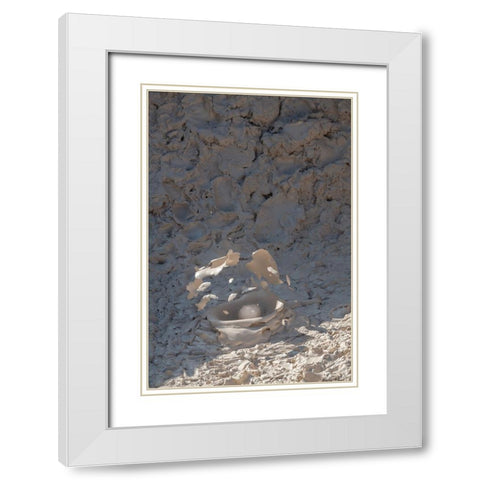 USA-Wyoming-Yellowstone National Park-Atrists Paintpots-Boiling hot mud pots-Detail of exploding bu White Modern Wood Framed Art Print with Double Matting by Hopkins, Cindy Miller