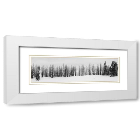 USA-Wyoming-Yellowstone National Park Winter line of trees White Modern Wood Framed Art Print with Double Matting by Hopkins, Cindy Miller