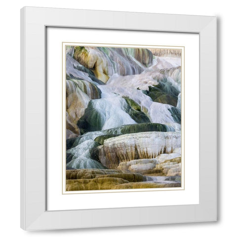 USA- Wyoming- Yellowstone National Park. Mammoth Hot Springs White Modern Wood Framed Art Print with Double Matting by Gulin, Darrell