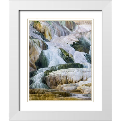 USA- Wyoming- Yellowstone National Park. Mammoth Hot Springs White Modern Wood Framed Art Print with Double Matting by Gulin, Darrell