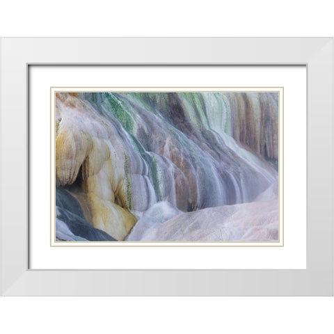 USA- Wyoming- Yellowstone National Park. Mammoth Hot Springs White Modern Wood Framed Art Print with Double Matting by Gulin, Darrell