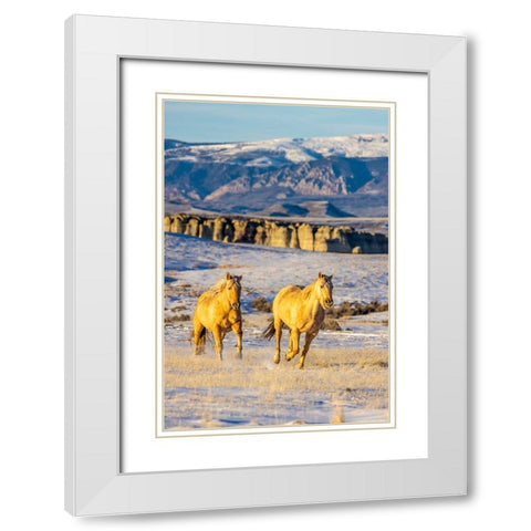 USA- Wyoming. Hideout Horse Ranch- horses in snow. White Modern Wood Framed Art Print with Double Matting by Looney, Hollice