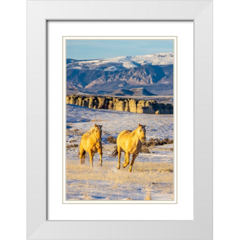 USA- Wyoming. Hideout Horse Ranch- horses in snow. White Modern Wood Framed Art Print with Double Matting by Looney, Hollice