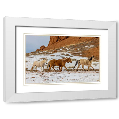 USA- Wyoming. Hideout Horse Ranch- horses in snow. White Modern Wood Framed Art Print with Double Matting by Looney, Hollice