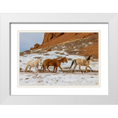 USA- Wyoming. Hideout Horse Ranch- horses in snow. White Modern Wood Framed Art Print with Double Matting by Looney, Hollice