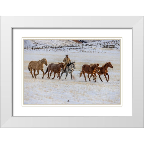 USA- Wyoming. Hideout Horse Ranch- wrangler and horses in snow. White Modern Wood Framed Art Print with Double Matting by Looney, Hollice