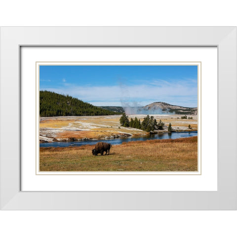 Yellowstone National Park-USA-Wyoming Buffalo and Old Faithful White Modern Wood Framed Art Print with Double Matting by Sienda, Jolly