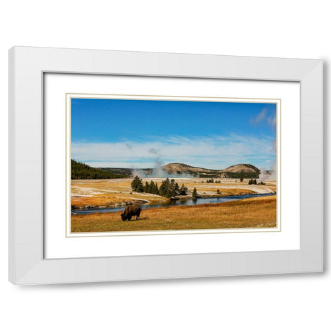 Yellowstone National Park-USA-Bison-buffalo-Steam-Old Faithful-Yellowstone River White Modern Wood Framed Art Print with Double Matting by Sienda, Jolly
