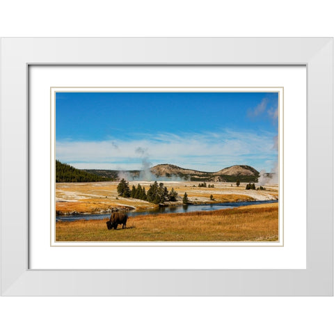 Yellowstone National Park-USA-Bison-buffalo-Steam-Old Faithful-Yellowstone River White Modern Wood Framed Art Print with Double Matting by Sienda, Jolly