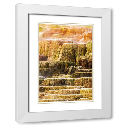 Travertine terraces at Minerva Spring-Mammoth Hot Springs-Yellowstone National Park-Wyoming-USA White Modern Wood Framed Art Print with Double Matting by Bishop, Russ