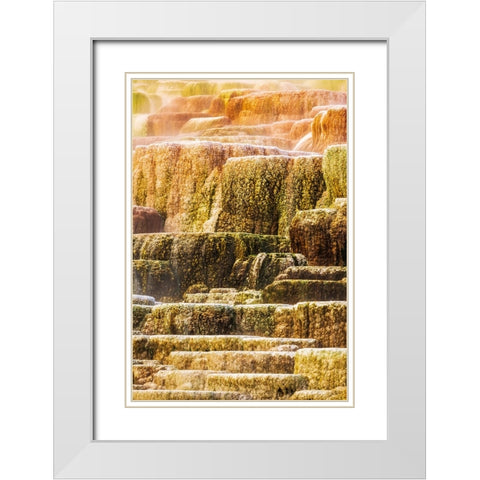 Travertine terraces at Minerva Spring-Mammoth Hot Springs-Yellowstone National Park-Wyoming-USA White Modern Wood Framed Art Print with Double Matting by Bishop, Russ