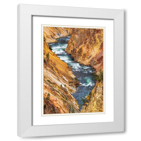 The Yellowstone River in the Grand Canyon of the Yellowstone-Yellowstone National Park-Wyoming-USA White Modern Wood Framed Art Print with Double Matting by Bishop, Russ
