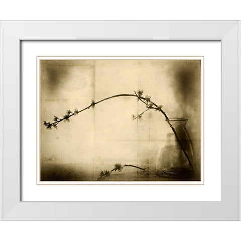 Zen White Modern Wood Framed Art Print with Double Matting by Hummel, Jeffrey