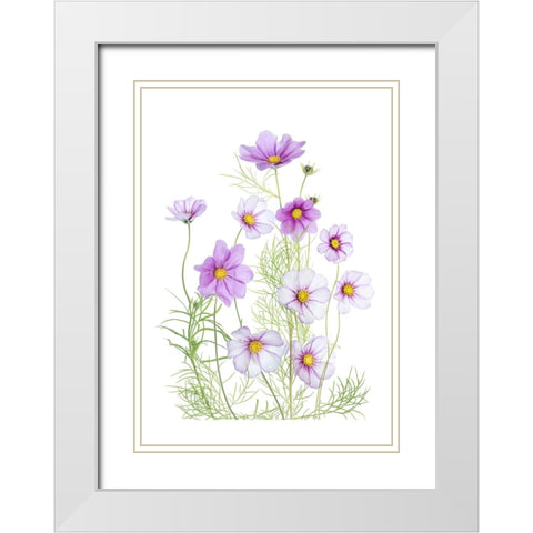 Cosmos Comfort White Modern Wood Framed Art Print with Double Matting by Disher, Mandy