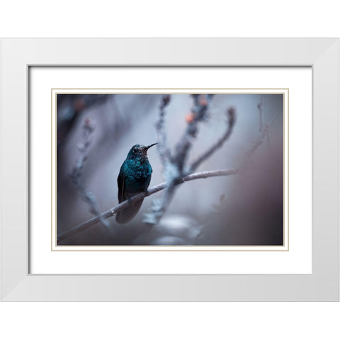 Electrical Blue White Modern Wood Framed Art Print with Double Matting by Bravin, Fabien