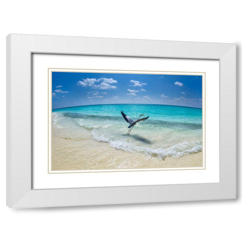Take-Off White Modern Wood Framed Art Print with Double Matting by Marchegiani, Roberto