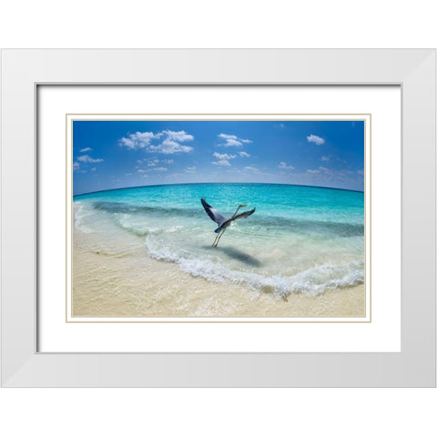 Take-Off White Modern Wood Framed Art Print with Double Matting by Marchegiani, Roberto