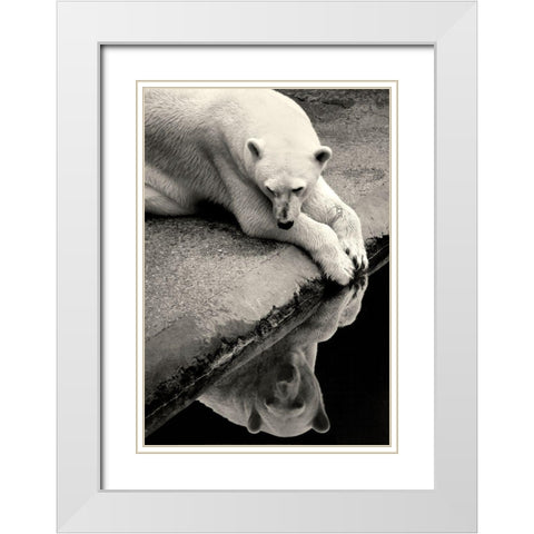 Who Is That Beauty In The Water White Modern Wood Framed Art Print with Double Matting by Wallberg, Allan