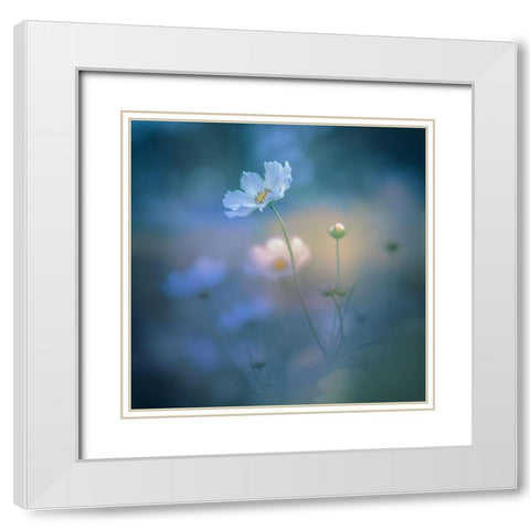 White Shadow White Modern Wood Framed Art Print with Double Matting by Koumura, Miyako