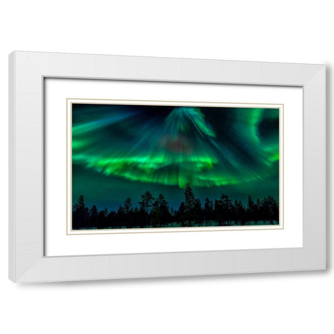 Northern Bell White Modern Wood Framed Art Print with Double Matting by Schwartz, Yair