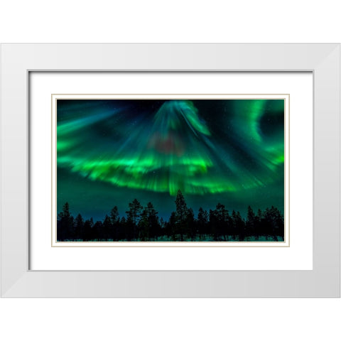 Northern Bell White Modern Wood Framed Art Print with Double Matting by Schwartz, Yair