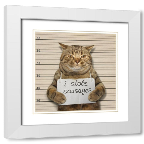 Crime And Punishment.... White Modern Wood Framed Art Print with Double Matting by Kuznetsova, Iryna