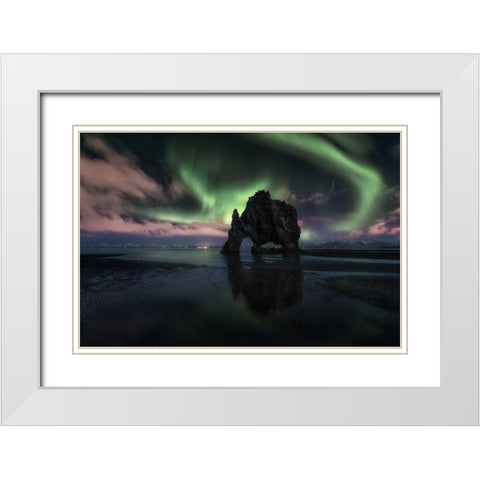 Rhino White Modern Wood Framed Art Print with Double Matting by Martin Castan, David