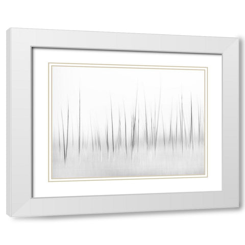 Wintry Scenery In Yellowstone White Modern Wood Framed Art Print with Double Matting by Lai, Charles