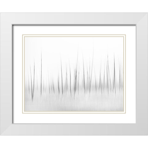 Wintry Scenery In Yellowstone White Modern Wood Framed Art Print with Double Matting by Lai, Charles
