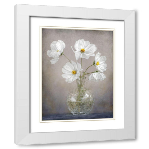 Simply Cosmos White Modern Wood Framed Art Print with Double Matting by Disher, Mandy