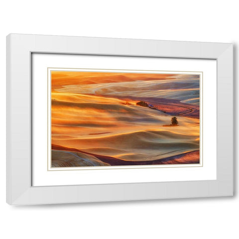 Golden Palouse White Modern Wood Framed Art Print with Double Matting by Jacobs, Lydia