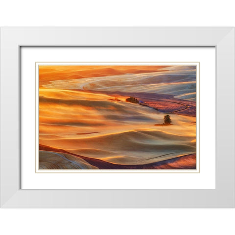 Golden Palouse White Modern Wood Framed Art Print with Double Matting by Jacobs, Lydia