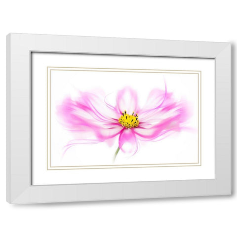 Breeze White Modern Wood Framed Art Print with Double Matting by Parker, Jacky