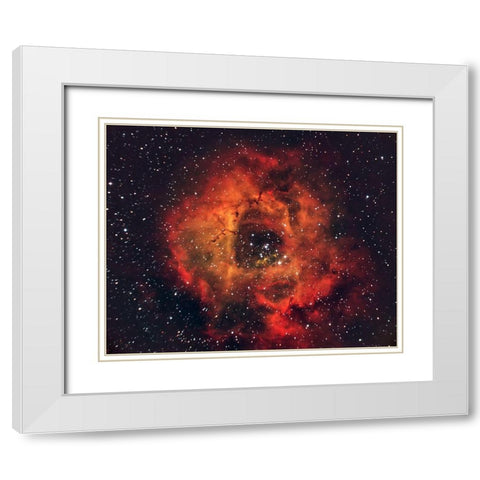 The Rose In The Sky White Modern Wood Framed Art Print with Double Matting by Auf Dem, Andrea