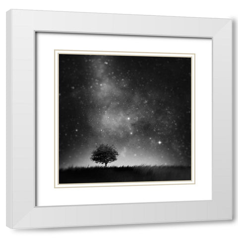 Not So Alone White Modern Wood Framed Art Print with Double Matting by Del Grosso, Sebastien