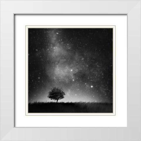 Not So Alone White Modern Wood Framed Art Print with Double Matting by Del Grosso, Sebastien