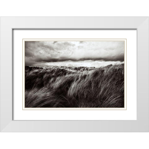 Dunes Of Grass White Modern Wood Framed Art Print with Double Matting by Paul