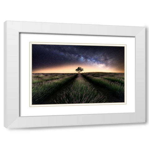 Lavender Way White Modern Wood Framed Art Print with Double Matting by Ferrero, Ivan