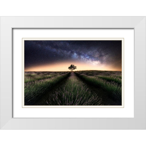 Lavender Way White Modern Wood Framed Art Print with Double Matting by Ferrero, Ivan