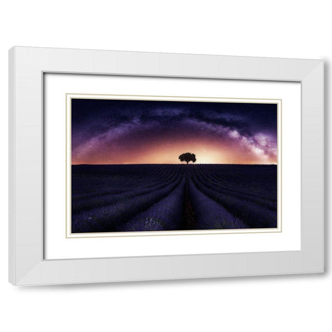 My Lavander White Modern Wood Framed Art Print with Double Matting by Ruiz Dueso, Jorge