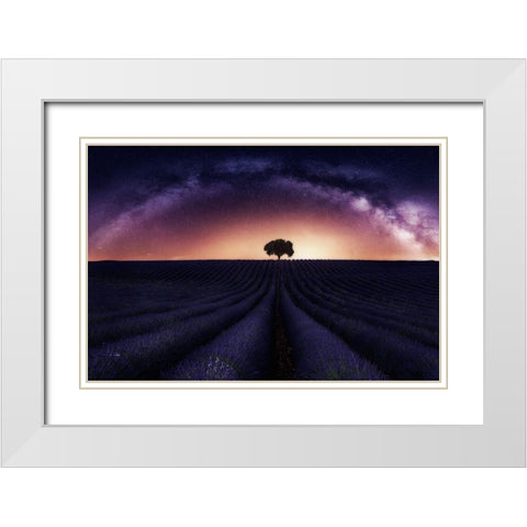 My Lavander White Modern Wood Framed Art Print with Double Matting by Ruiz Dueso, Jorge