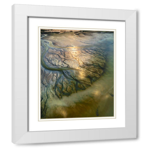 The Earth Veins White Modern Wood Framed Art Print with Double Matting by Alnomas, Faisal
