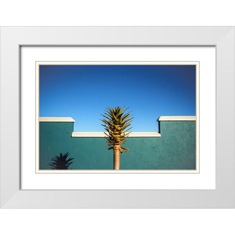 The Desert Blooms White Modern Wood Framed Art Print with Double Matting by Wride, Linda