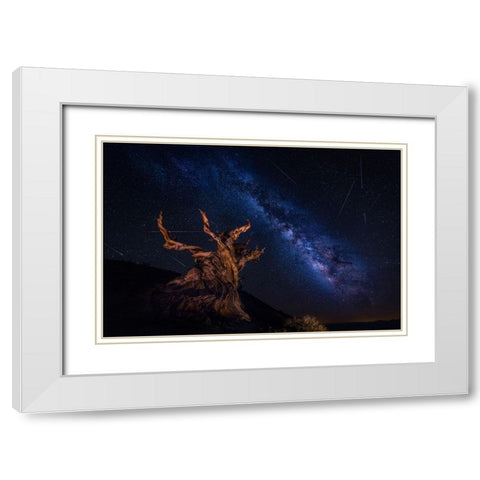 Shooting Stars Night White Modern Wood Framed Art Print with Double Matting by Zheng, Michael