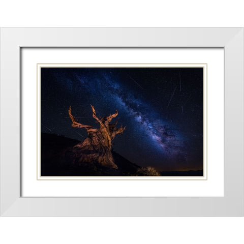 Shooting Stars Night White Modern Wood Framed Art Print with Double Matting by Zheng, Michael