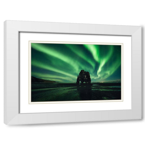 Rhino White Modern Wood Framed Art Print with Double Matting by Martin Castan, David