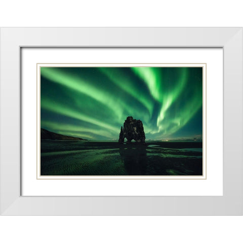 Rhino White Modern Wood Framed Art Print with Double Matting by Martin Castan, David