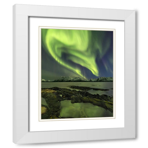 The Aliensaas Head White Modern Wood Framed Art Print with Double Matting by Smid Master, Jan
