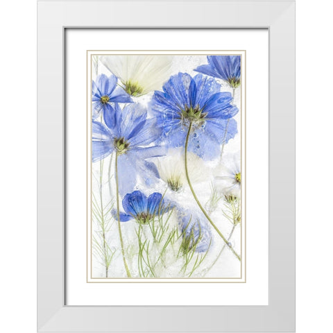 Cosmos Blue White Modern Wood Framed Art Print with Double Matting by Disher, Mandy