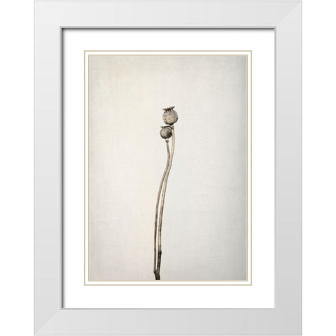 Two Old Poppies White Modern Wood Framed Art Print with Double Matting by Gronkjar, Lotte